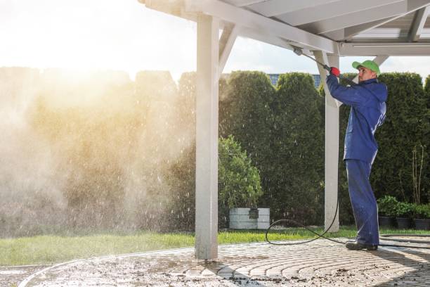 Best Dumpster Area Cleaning  in Lavonia, GA
